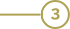 section_11_icon